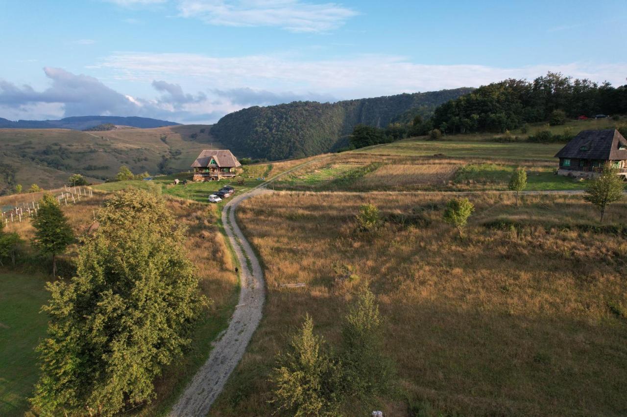 Casa Glod Guest House Glod  Bagian luar foto