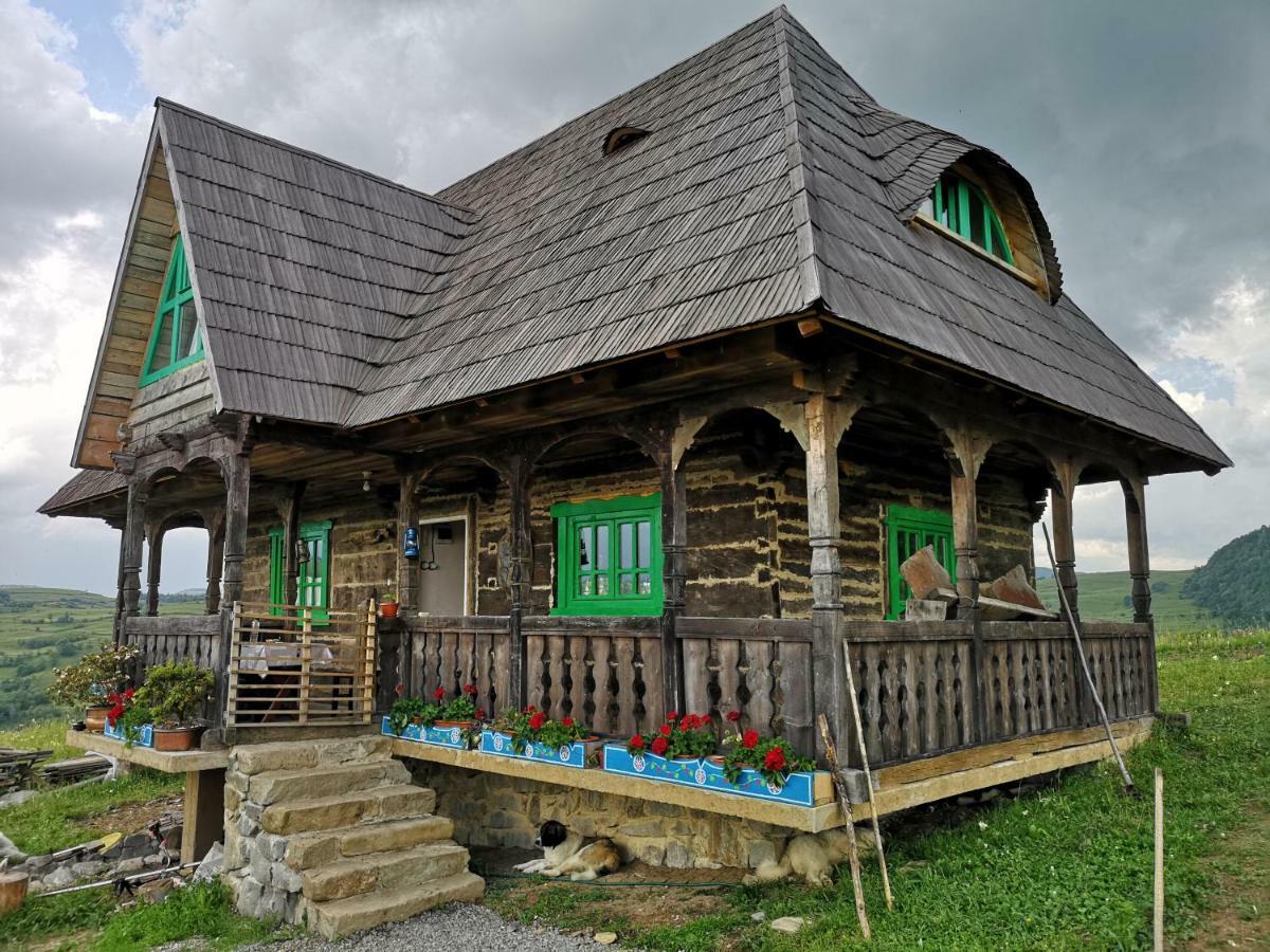 Casa Glod Guest House Glod  Bagian luar foto