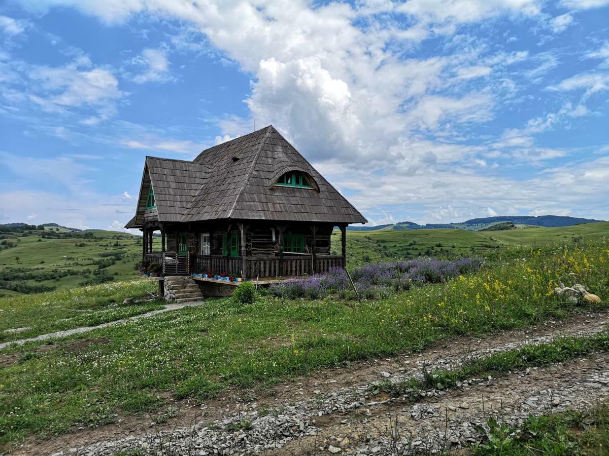 Casa Glod Guest House Glod  Bagian luar foto