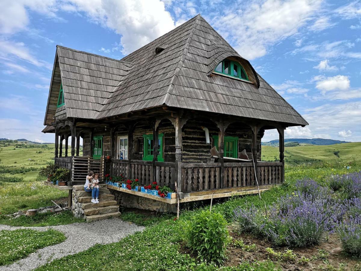 Casa Glod Guest House Glod  Bagian luar foto