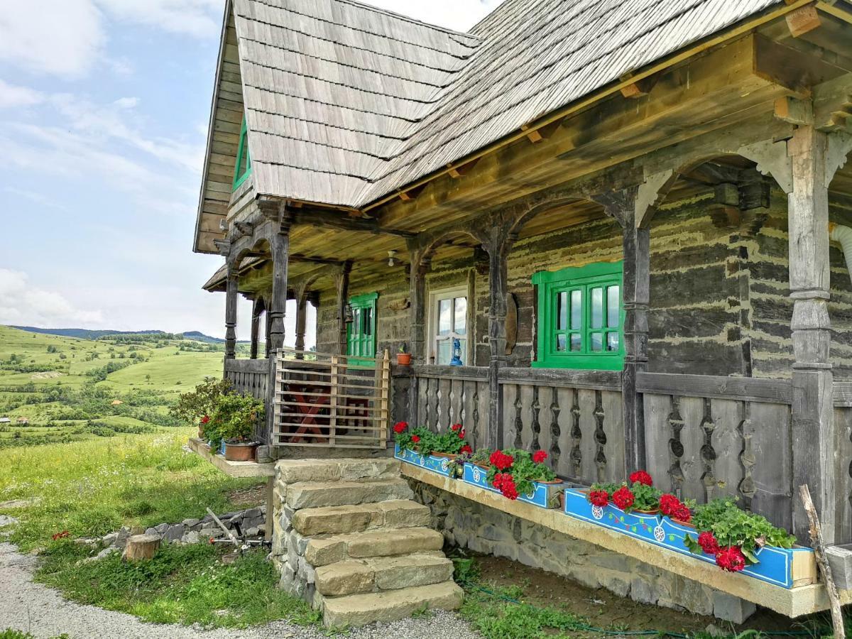 Casa Glod Guest House Glod  Bagian luar foto