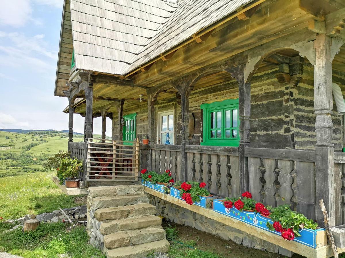 Casa Glod Guest House Glod  Bagian luar foto