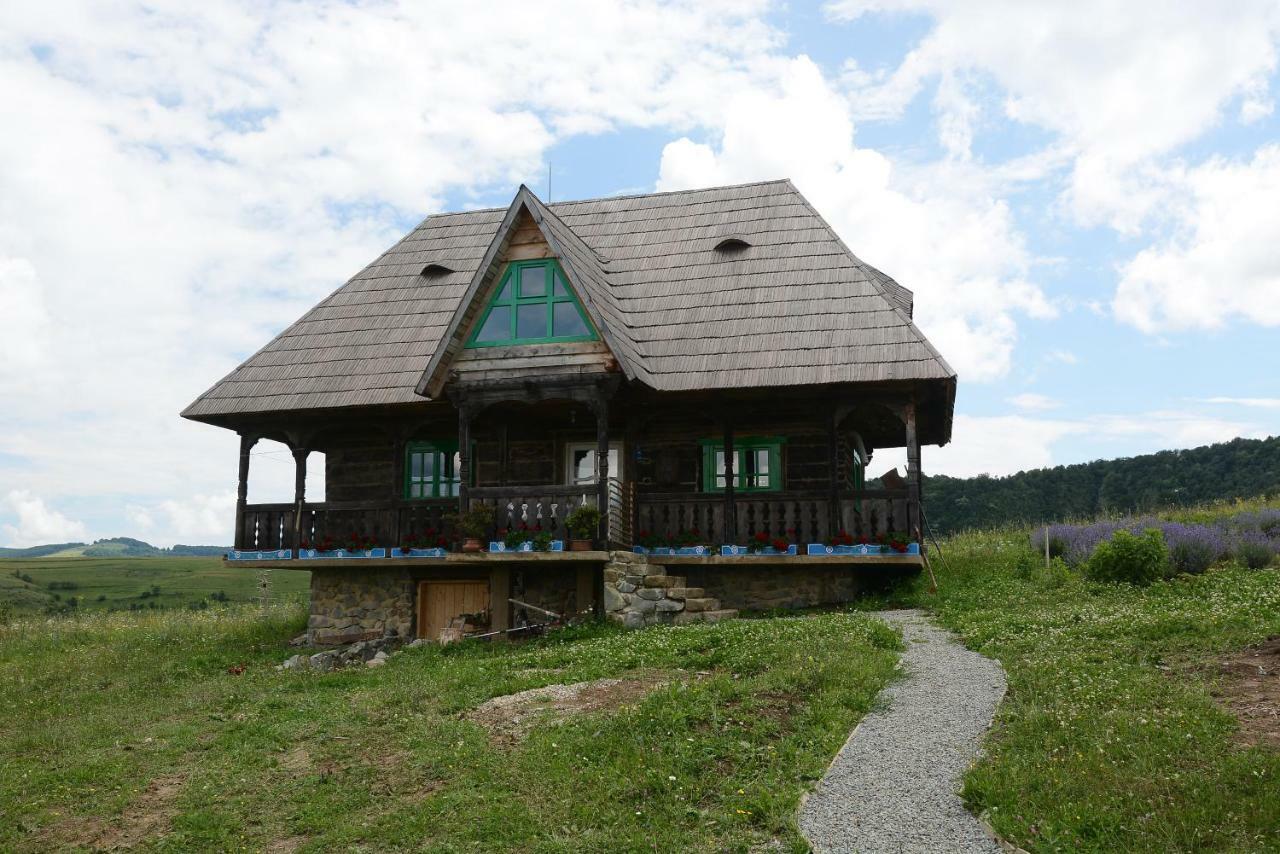 Casa Glod Guest House Glod  Bagian luar foto