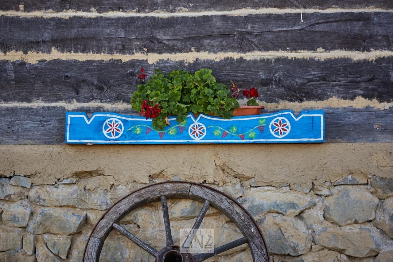 Casa Glod Guest House Glod  Bagian luar foto